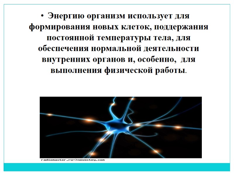 Энергию организм использует для  формирования новых клеток, поддержания постоянной температуры тела, для обеспечения